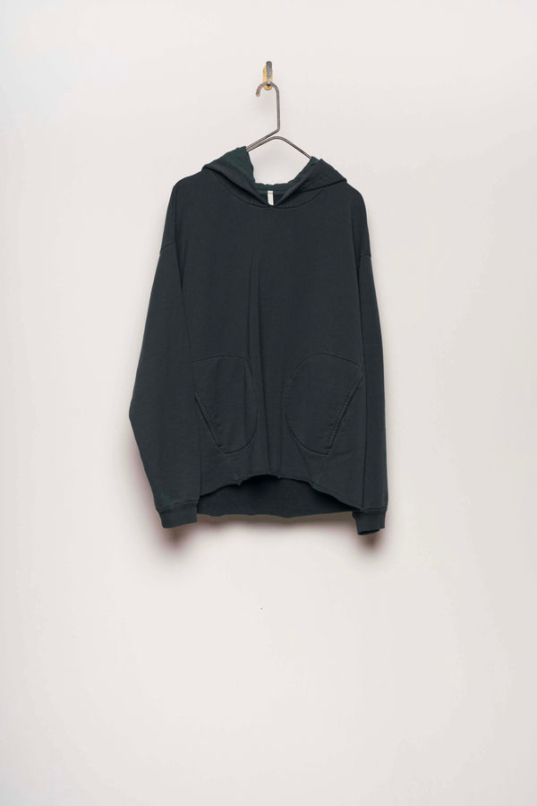 #2681 - hoodie